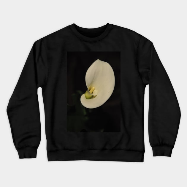 White Calla Lily Crewneck Sweatshirt by MolinArte